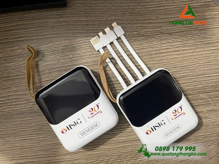 Pin Sạc Dự Phòng SENDEM 10.000mAh - In Logo Kỷ Niệm 20 Năm Doanh Nghiệp HSVG