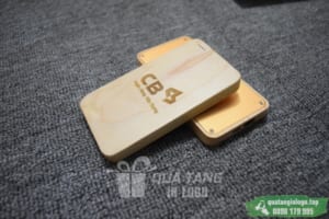 PGV 001 - Qua tang pin sac du phong in khac logo quang cao thuong hieu CB - Ngan hang Xay Dung (3)