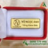 Huy hieu cai ao – An mon kim loai – Xi ma vang – Logo doanh nghiep (4)