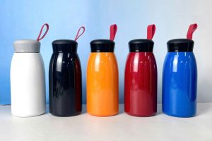 BGT 27 - Bình Giữ Nhiệt Mini 520ml - In Khắc Logo Theo Yêu Cầu