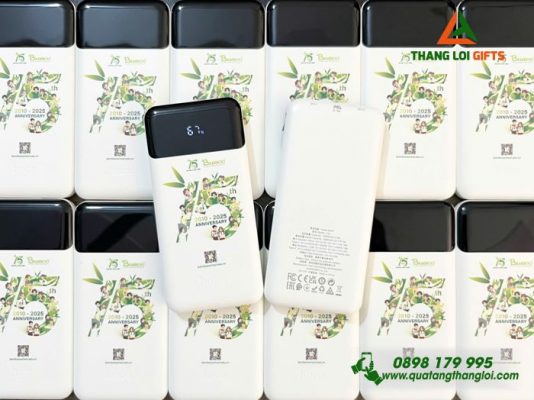 Pin Sạc Dự Phòng Hoco 10.000mAh Màu Trắng - In Logo 15 Năm Doanh Nghiệp BAMBOO