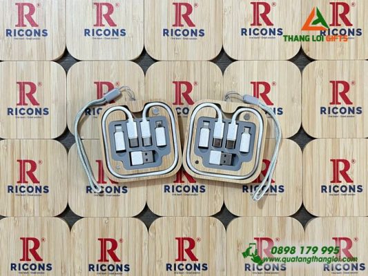 Hộp Cáp Sạc Đa Năng Gỗ - In Logo Doanh Nghiệp RICONS